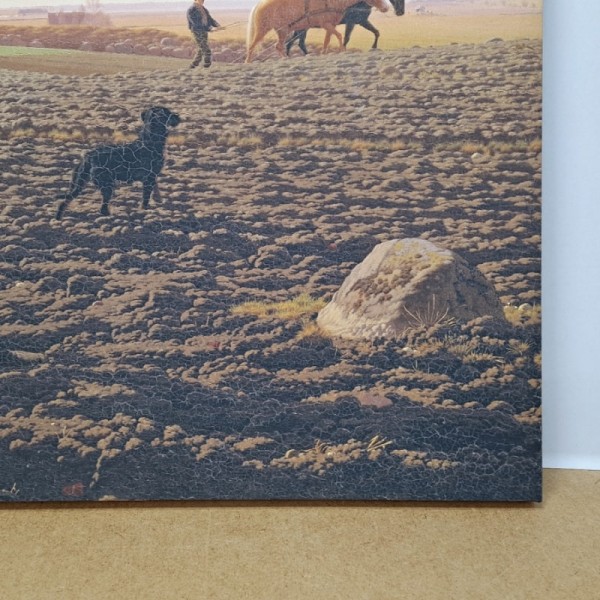 thumbe3757ddb546e9c733ea6311fddab0278_1774272362_7655.jpg